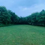 فيلة Mikeli